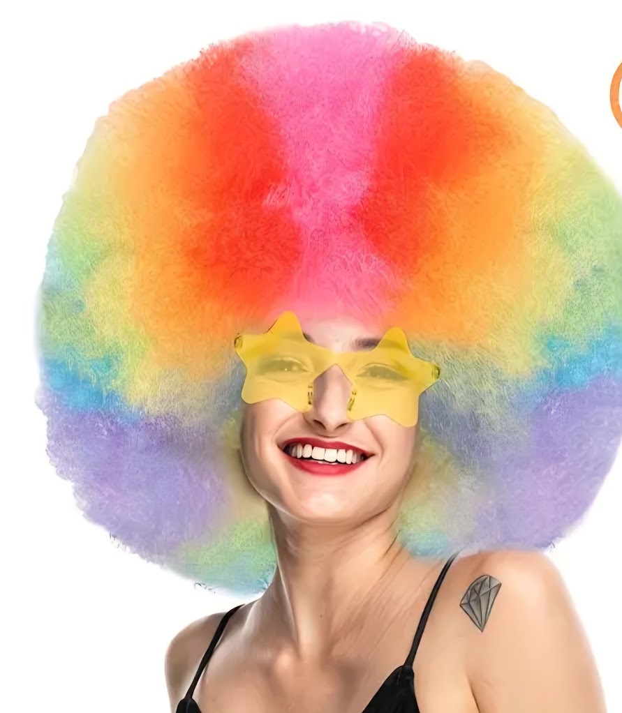 Perruque afro arc-en-ciel